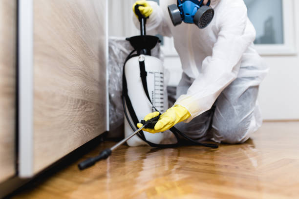 Professional Pest Control in Mooreland, OK