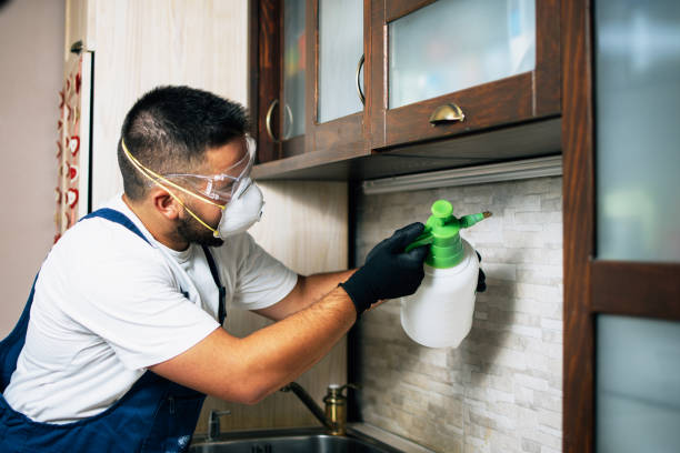 Best Local Pest Control Services  in Mooreland, OK