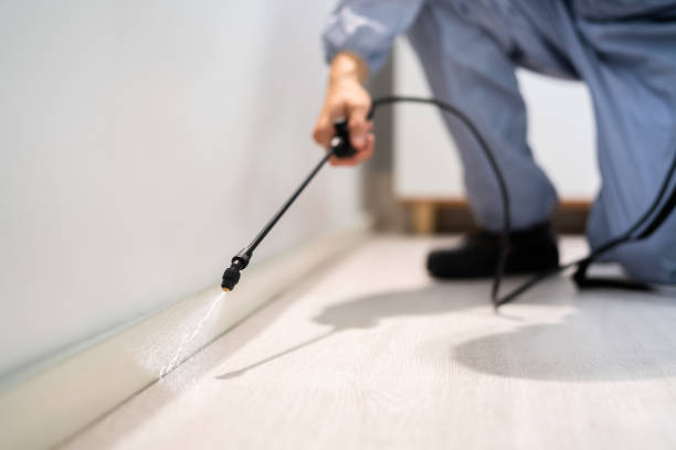 Best Affordable Pest Control Services  in Mooreland, OK