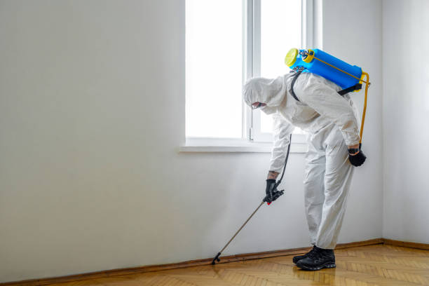 Best Bed Bug Extermination  in Mooreland, OK