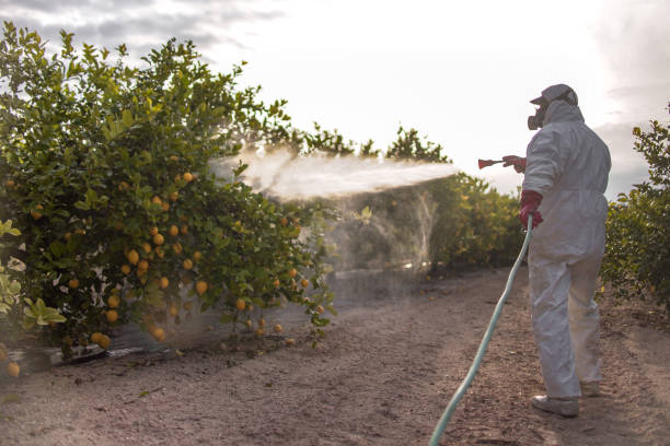  Mooreland, OK Pest Control Pros
