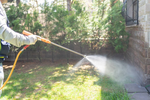 Best Ant Control Services  in Mooreland, OK