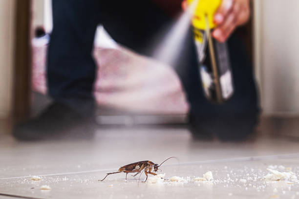 Best Exterminator Services  in Mooreland, OK