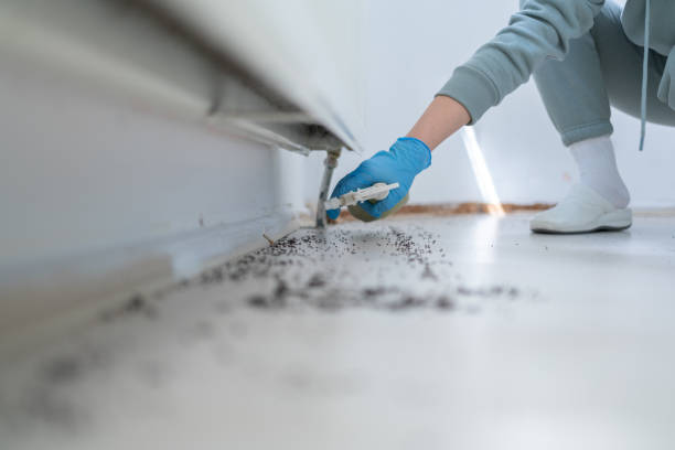 Best Best Pest Control Companies  in Mooreland, OK