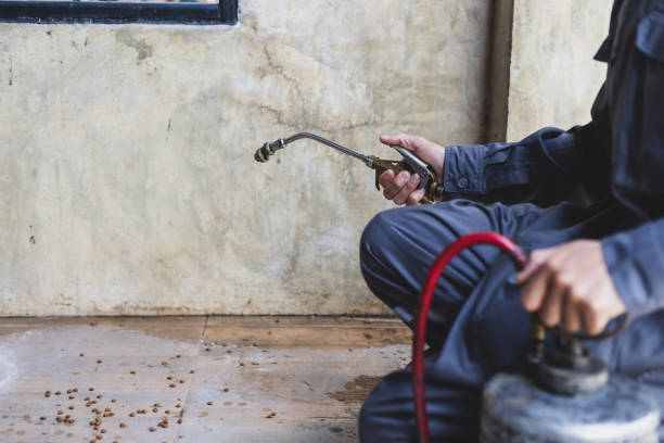 Best Mosquito Control Services  in Mooreland, OK
