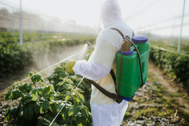 Best Pest Prevention Services  in Mooreland, OK